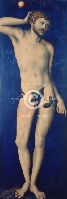'Adam', 1528. Artist: Lucas Cranach the Elder