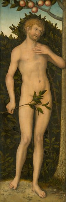 Adam, 1533/37. Creator: Lucas Cranach the Elder