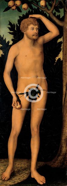 Adam, after 1537. Artist: Cranach, Lucas, the Elder (1472-1553)