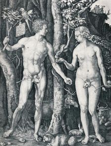 Adam and Eve 1504 (1906). Artist: Albrecht Durer
