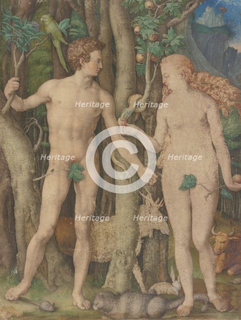 Adam and Eve, 1504. Creator: Unknown.