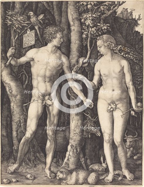 Adam and Eve, 1504. Creator: Albrecht Durer.