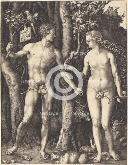 Adam and Eve, 1504. Creator: Albrecht Durer.