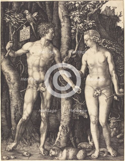 Adam and Eve, 1504. Creator: Albrecht Durer.