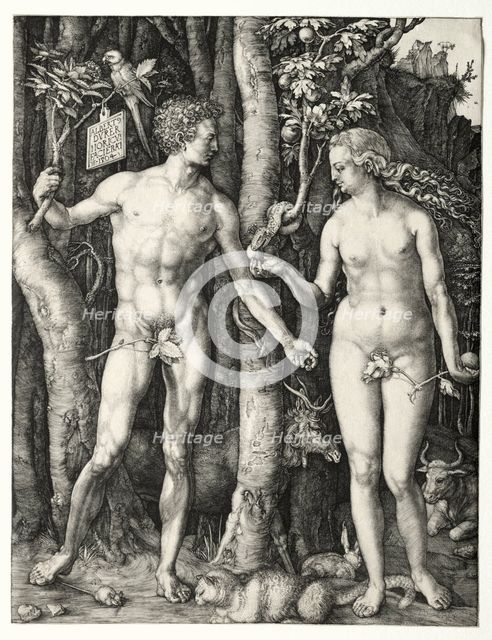 Adam and Eve, 1504. Creator: Albrecht Dürer (German, 1471-1528).