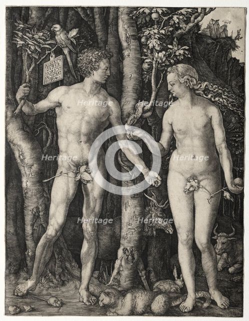 Adam and Eve, 1504. Creator: Albrecht Dürer (German, 1471-1528).
