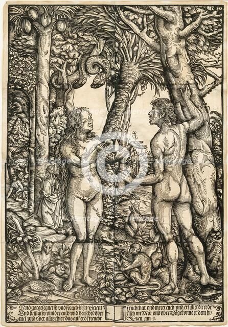 Adam and Eve, c1525. Creator: Burgkmair; Hans; the Elder (1473-1531).