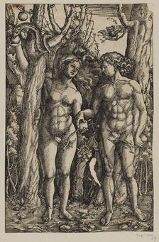 Adam and Eve. Creator: Albrecht Durer