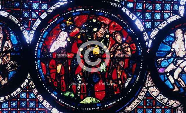 Adam and Eve (The Fall of Man), stained glass, Chartres Cathedral, France, 1194-1260. Artist: Unknown