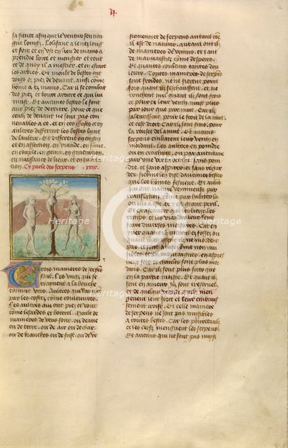 Adam and Eve with the Serpent; Miroir Historial, about 1475. Creator: Unknown.