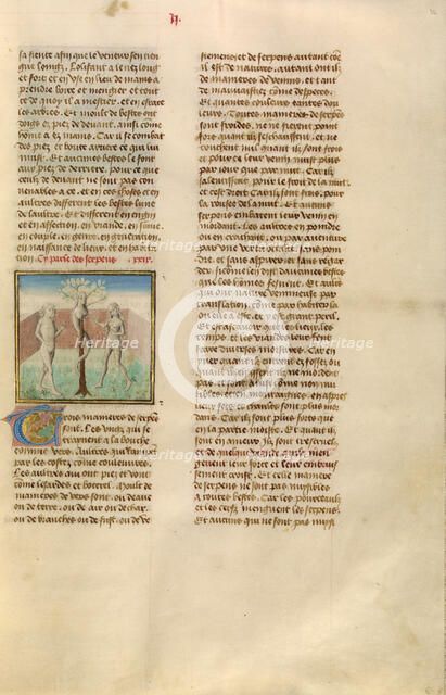 Adam and Eve with the Serpent; Miroir Historial, about 1475. Creator: Unknown.