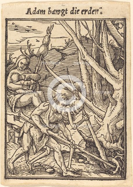 Adam bawgt die erden. Creator: Hans Holbein the Younger.