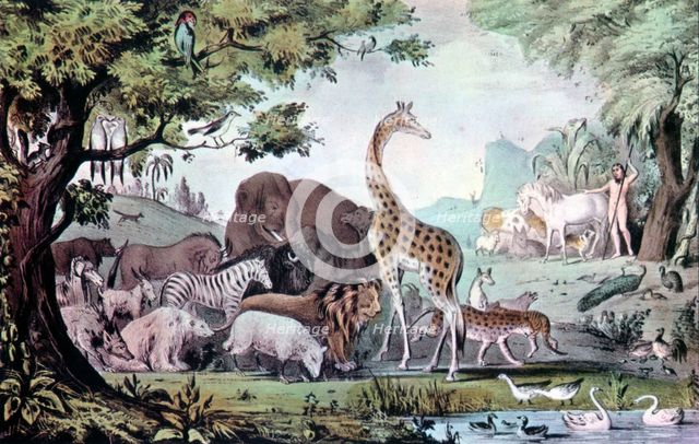 'Adam Naming the Creatures', 1847. Creator: Nathaniel Currier.