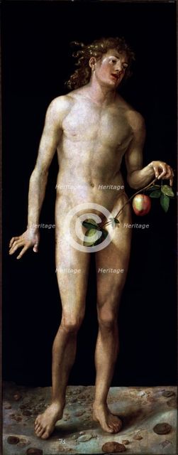 'Adam', oil on canvas by Albrecht Durer.