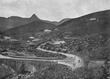 Adamspik und Brownlow-Teepflanzung 1926