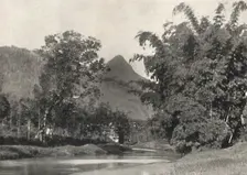 Adamspik von Gegend Maskeliya 1926