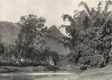 Adamspik von Gegend Maskeliya 1926