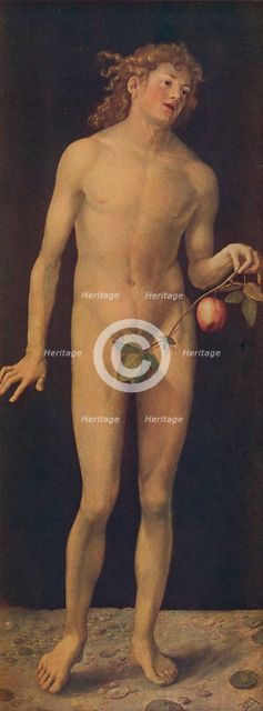 'Adan', (Adam), 1507, (c1934). Artist: Albrecht Durer.