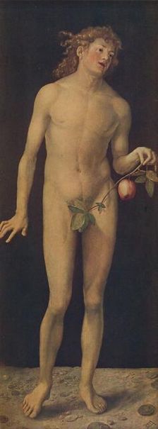 Adan (Adam), 1507, (c1934). Artist: Albrecht Durer