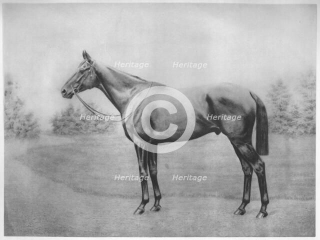 'Admiral Togo III', 1911. Artist: Unknown.