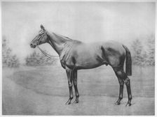 Admiral Togo III 1911