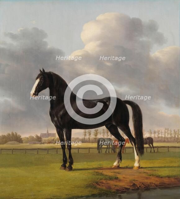 Adriaan van der Hoop’s Trotter ‘De Vlugge’ (The Fast One) in a Meadow, 1828. Creator: Anthony Oberman.