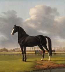 Adriaan van der Hoop’s Trotter De Vlugge (The Fast One) in a Meadow, 1828. Creator: Anthony Oberman