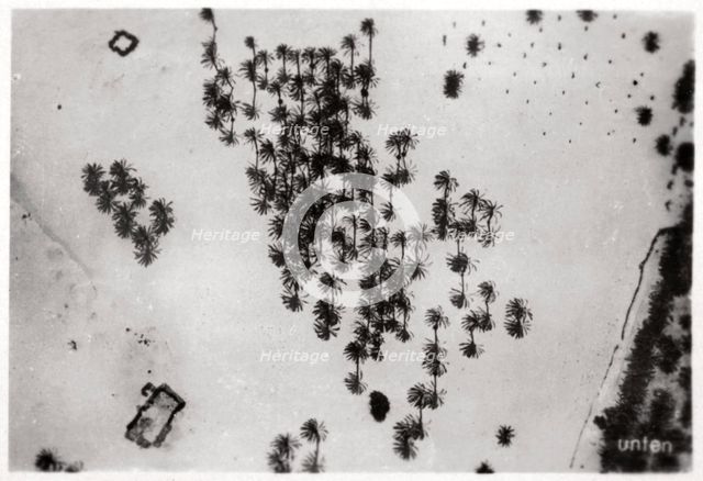 Aerial view of palm shadows in the Arabian desert, from a Zeppelin, 1931 (1933). Artist: Unknown