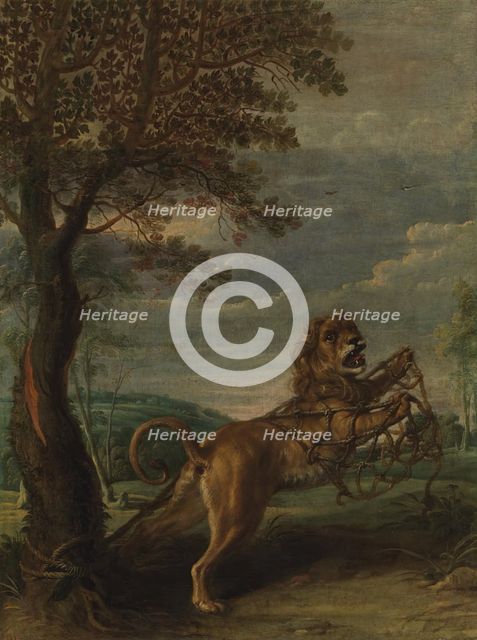 Aesop's fable: The Lion and the Mouse, between 1600 and 1657. Creator: Frans Snyders.
