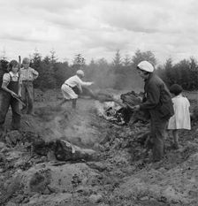 After bulldozer has taken out and piled the heavy stumps..., Michigan Hill, Thurston County, 1939. Creator: Dorothea Lange