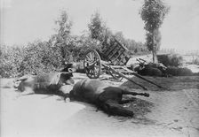 After the battle of Haelen, 1914. Creator: Bain News Service