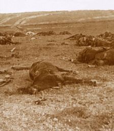 After the charge, Beauséjour, northern France, c1914-c1918