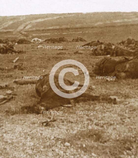 After the charge, Beauséjour, northern France, c1914-c1918. Artist: Unknown.