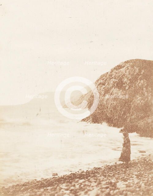 After the Storm, 1853-56. Creator: John Dillwyn Llewelyn.