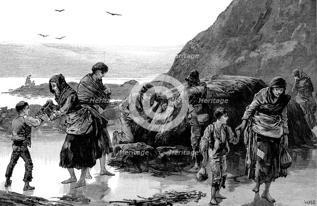 Aftermath of famine, Ireland (1840s), 1886. Artist: Unknown