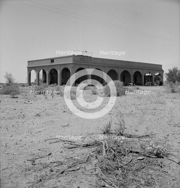 Aftermath of irrigation boom and subsequent collapse of cotton, Nyland, California, 1937. Creator: Dorothea Lange.