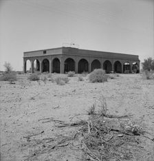 Aftermath of irrigation boom and subsequent collapse of cotton, Nyland, California, 1937. Creator: Dorothea Lange