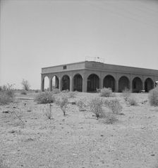 Aftermath of irrigation boom, Nyland, California, 1937. Creator: Dorothea Lange