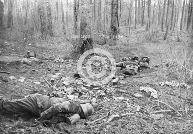 Aftermath of the fighting in the park of Plessis-de-Roye, Picardy, France, 30th March 1918. Artist: Unknown