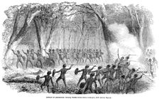 Affray of Aboriginal, three miles from Brisbane, New South Wales 1854