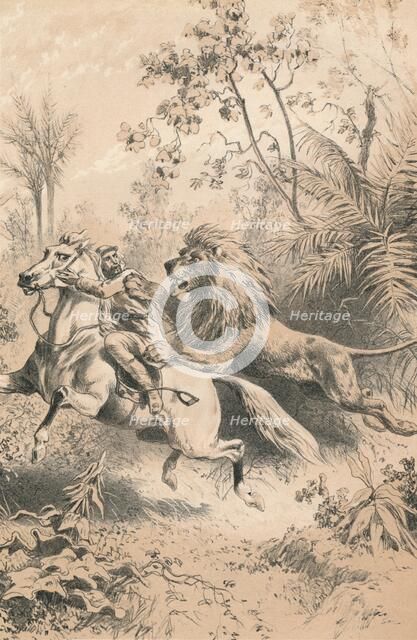 'African Traveller Attacked by A Lion', c1880. Artist: Unknown.