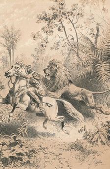 African Traveller Attacked by A Lion c1880