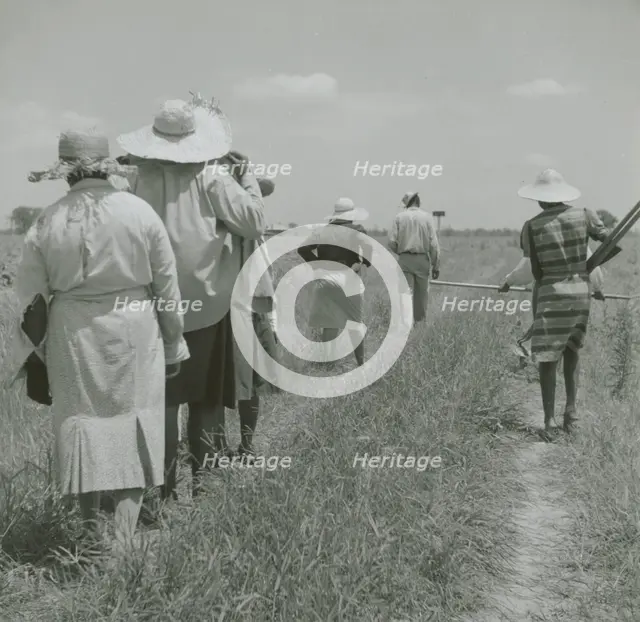 African American cotton plantation workers, hired as day laborers, walking next to..., August 1940. Creators: Farm Security Administration, Marion Post Wolcott.