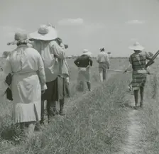 African American cotton plantation workers, hired as day laborers, walking next to..., August 1940. Creators: Farm Security Administration, Marion Post Wolcott