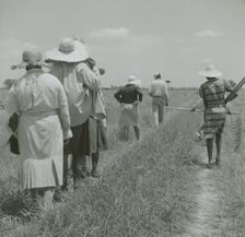 African American cotton plantation workers, hired as day laborers, walking next to..., August 1940. Creators: Farm Security Administration, Marion Post Wolcott