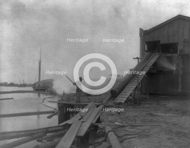 African American guiding log from water onto saw mill ramp, Newport News, Va., 1900, 1899 or 1900. Creator: Frances Benjamin Johnston.