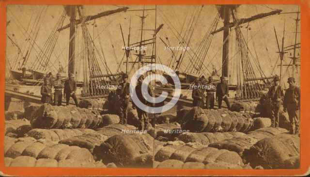 African-American longshore men and bales of cotton on the dock, c1850-c1930. Creator: O. Pierre Havens.