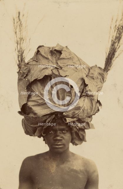 African Mimicry, about 1910. Creator: Unknown.