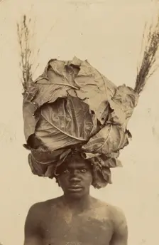 African Mimicry, about 1910. Creator: Unknown