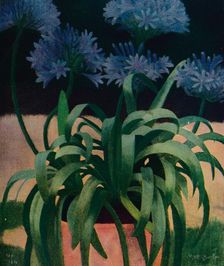 Agapanthus 1914, (c1932). Artist: Mark Gertler